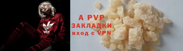 стаф Абаза