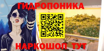 spice Рязань