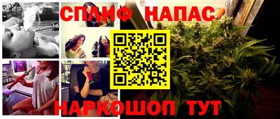 шишки Рыбинск