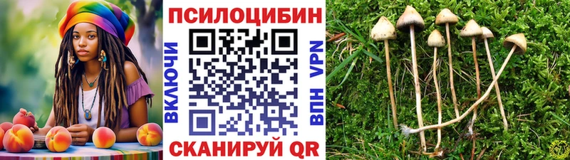 кракен как зайти  Советская Гавань  Галлюциногенные грибы Psilocybe 