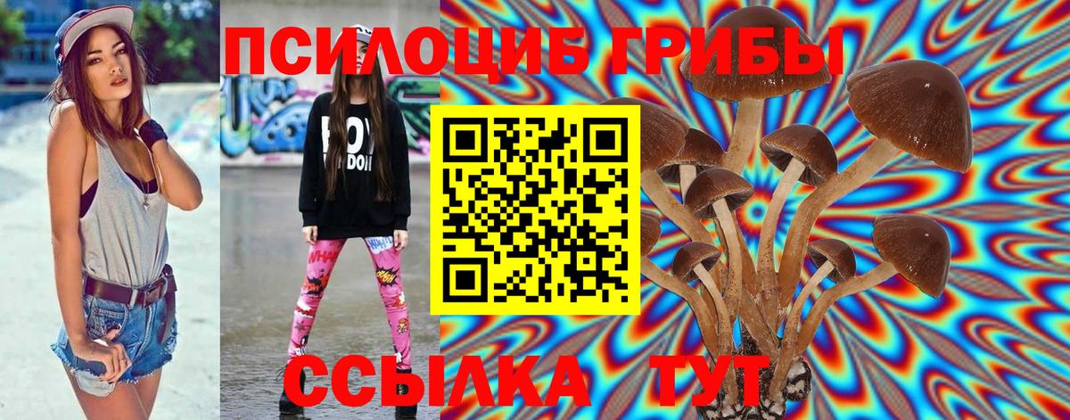 Псилоцибиновые грибы Cubensis Советская Гавань